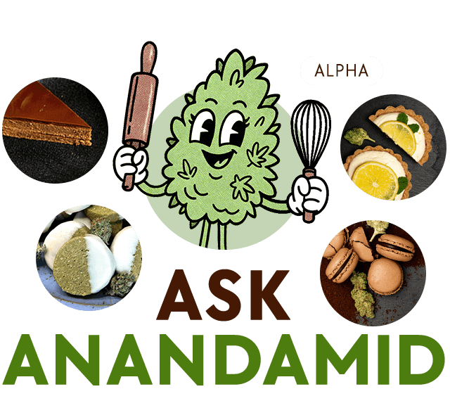 Decorative Anandamid kitchen hero illustration for the home page.